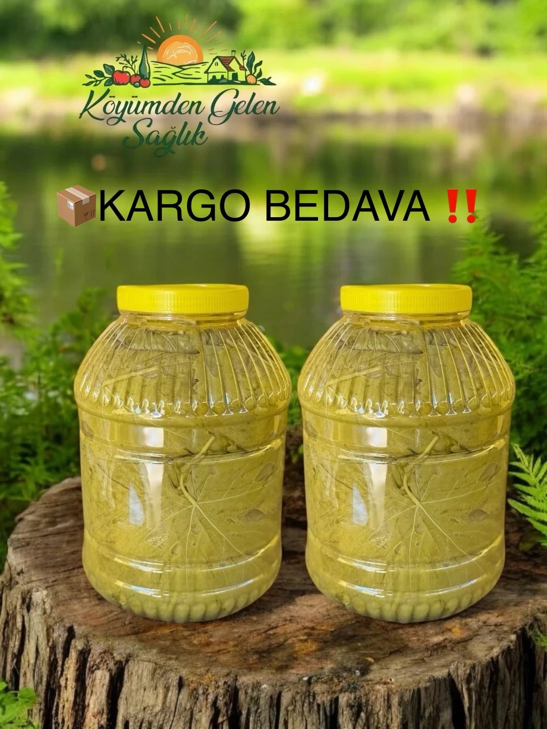 KARGO BEDAVA 2 Adet Salamura Yaprak 5lt
