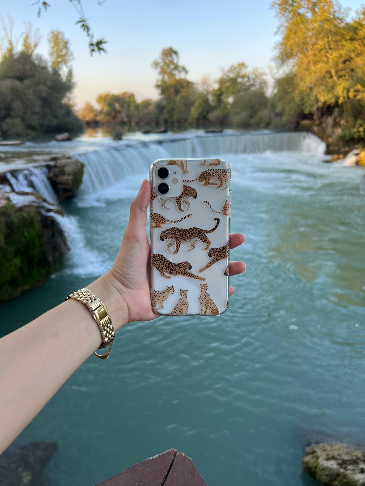 Leopar Desenli Telefon Kılıfı