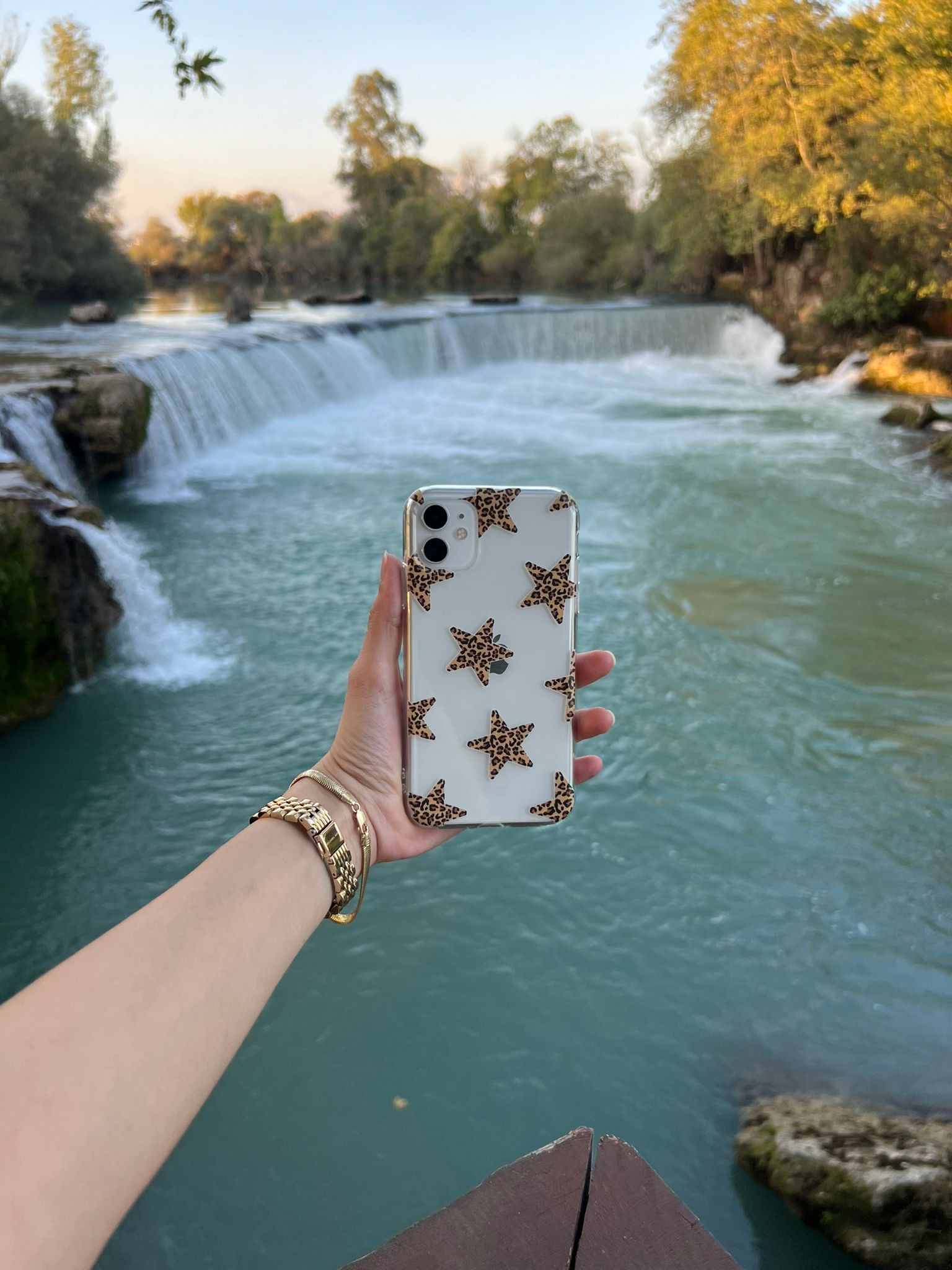 Leopar Desenli Telefon Kılıfı