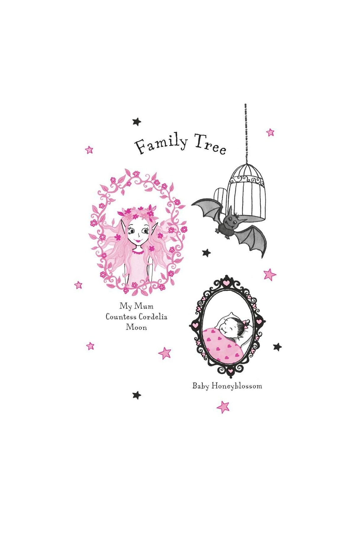 Oxford Childrens Book - Isadora Moon Has A Sleepover