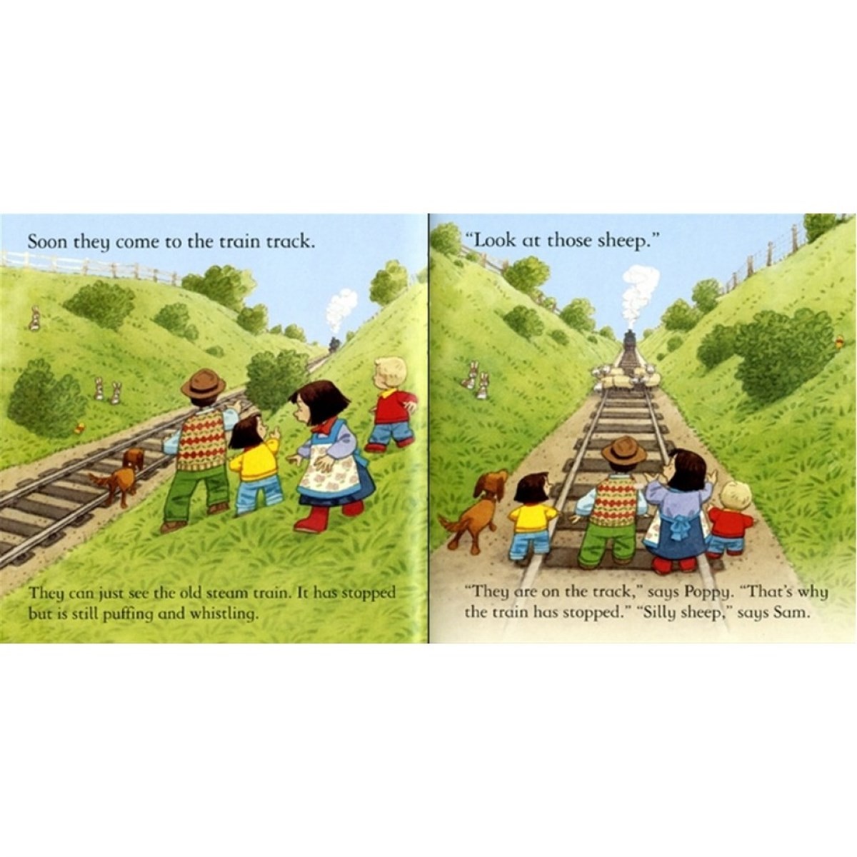 The Usborne FYT Woolly Stops the Train