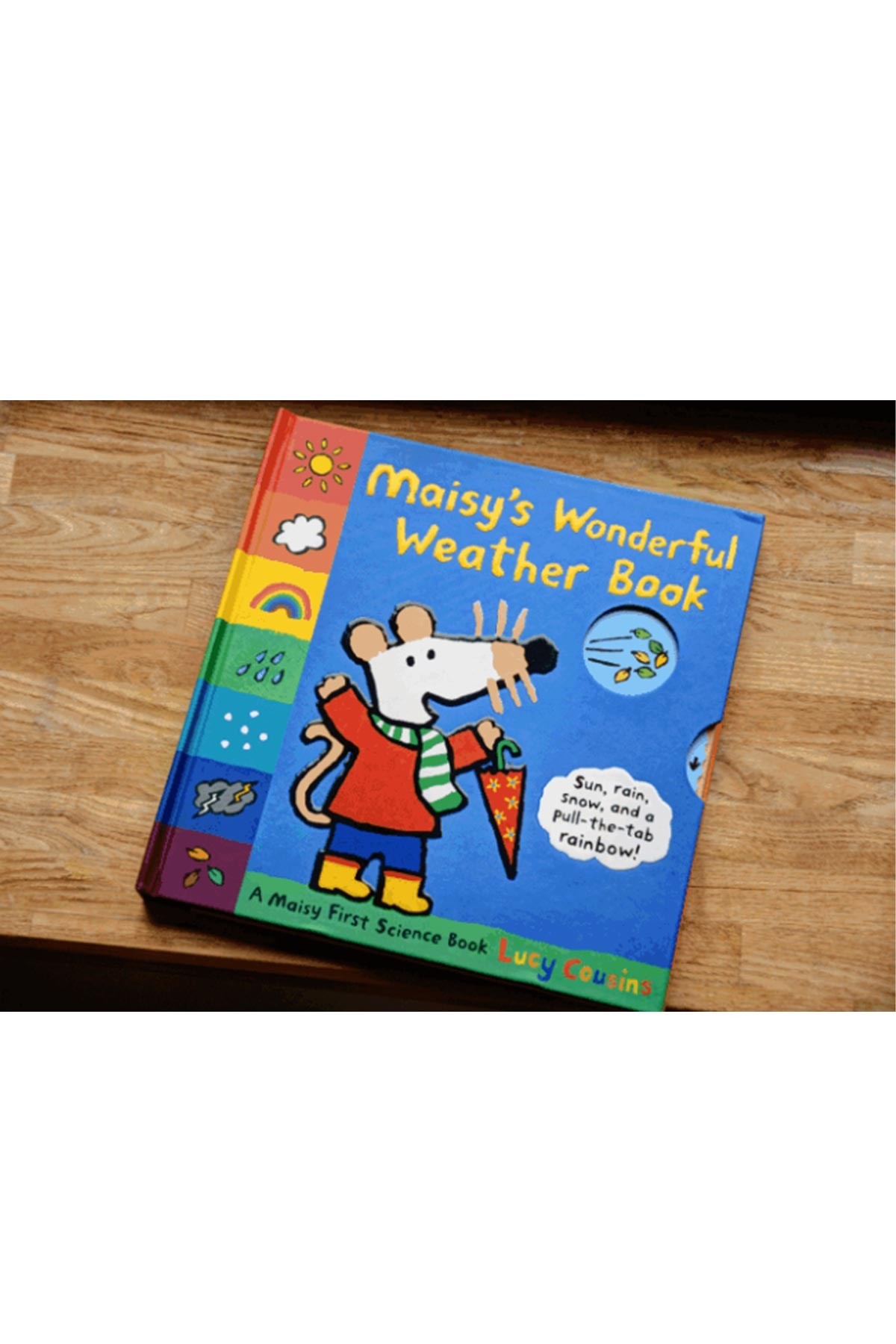 Walker Books Maisy's Wonderful Weather Book