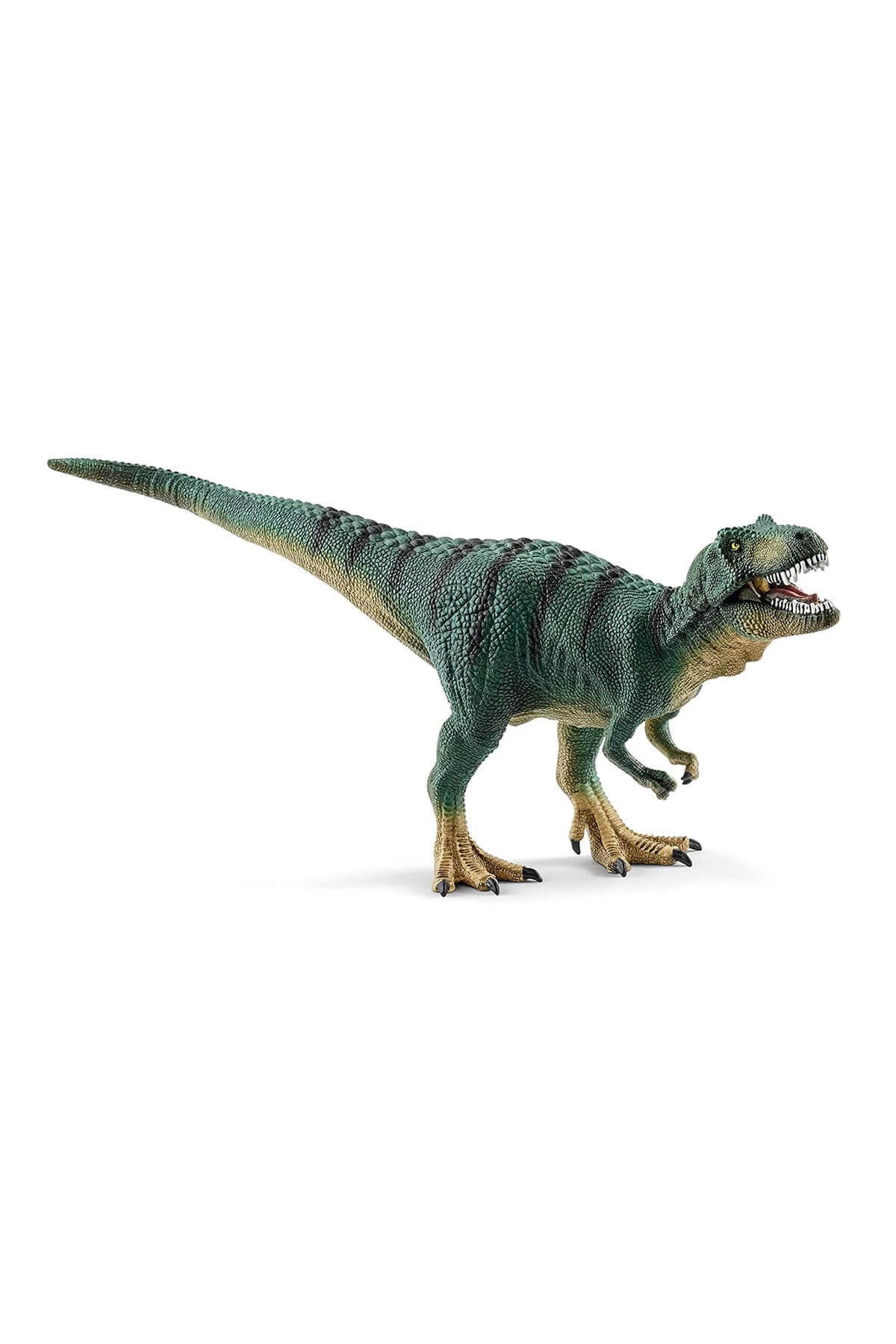 Schleich Yavru Tyrannosaurus Rex