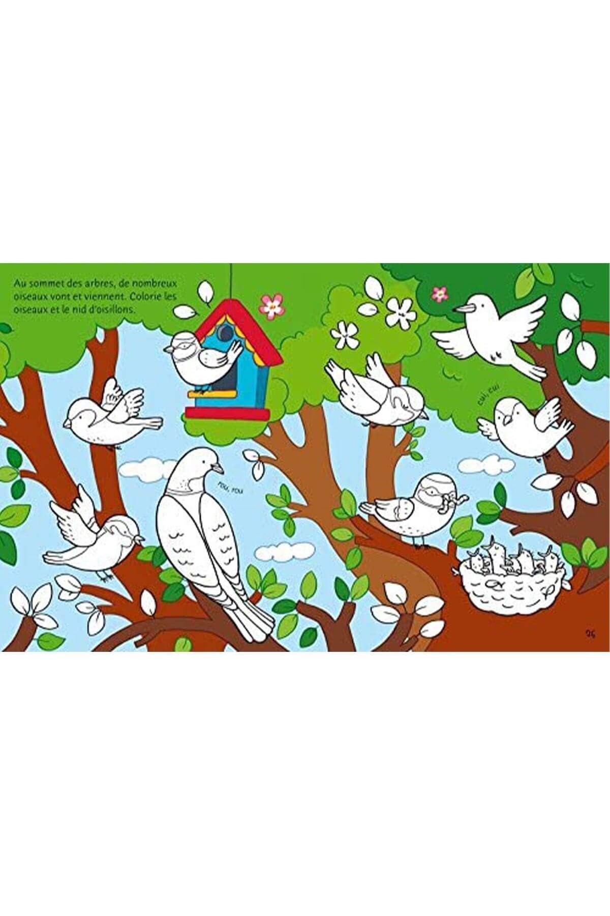 The Usborne Garden Sticker & Colouring Book