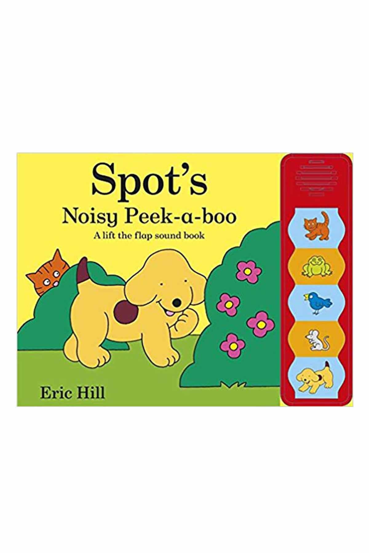 DK - Noisy Poeek-a-book Spots