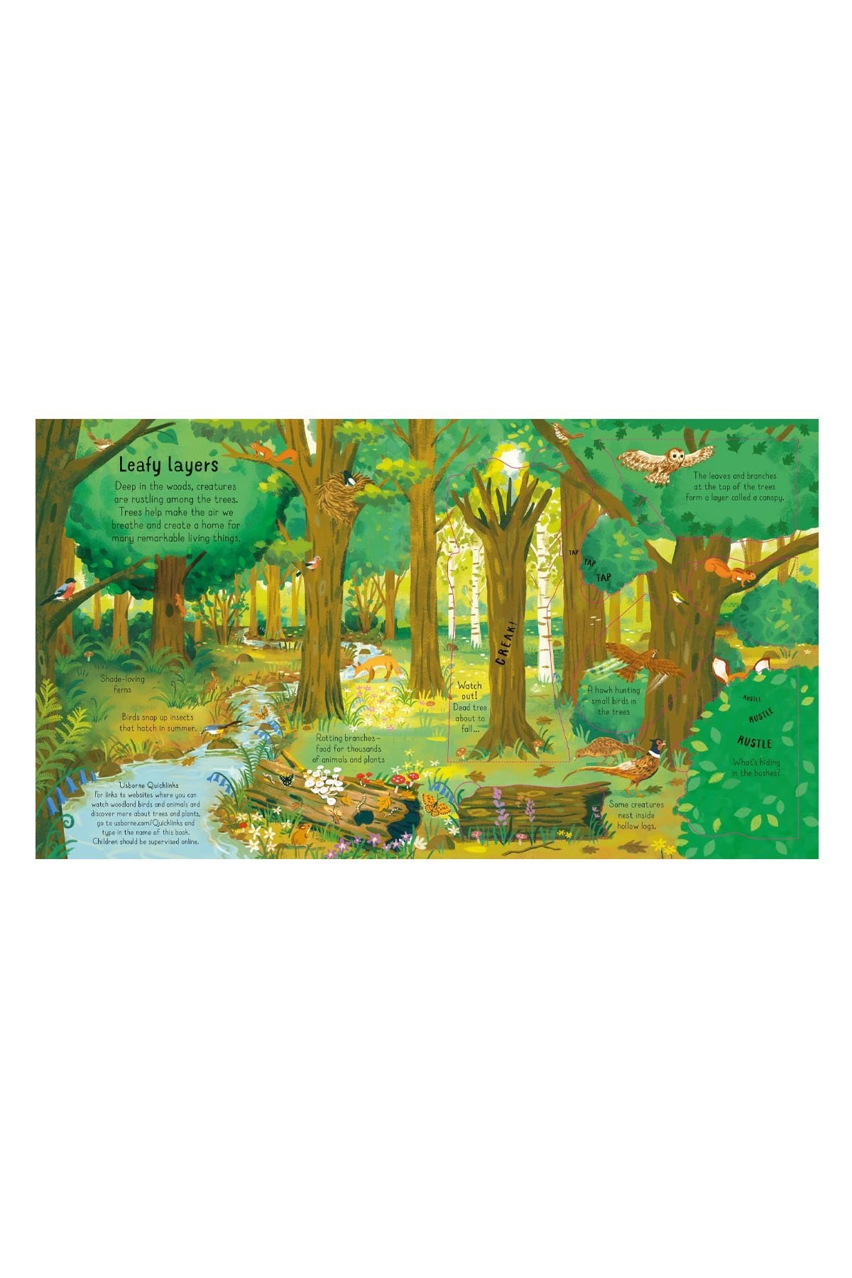 The Usborne Look Inside The Woods