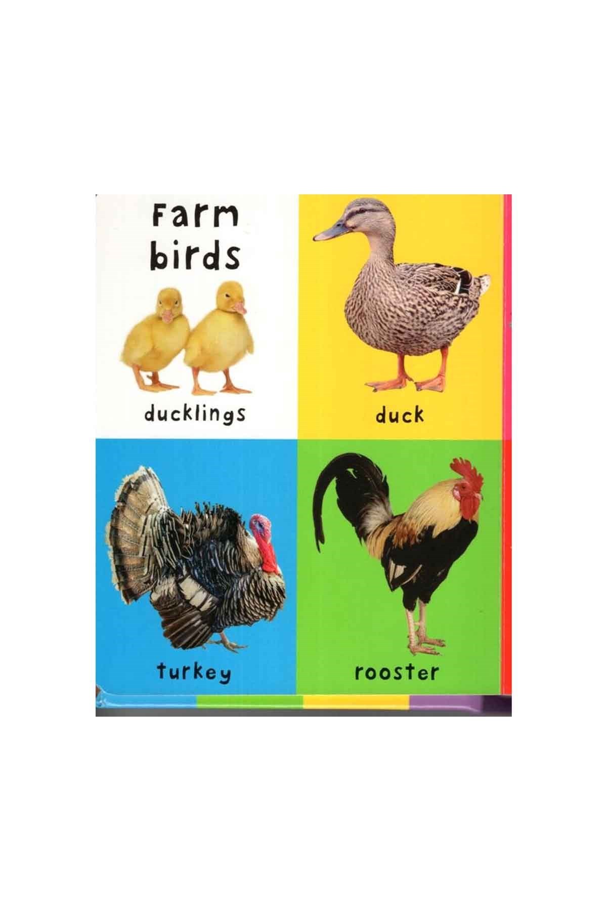 Priddy Books First Farm Words : First 100 Soft To Touch