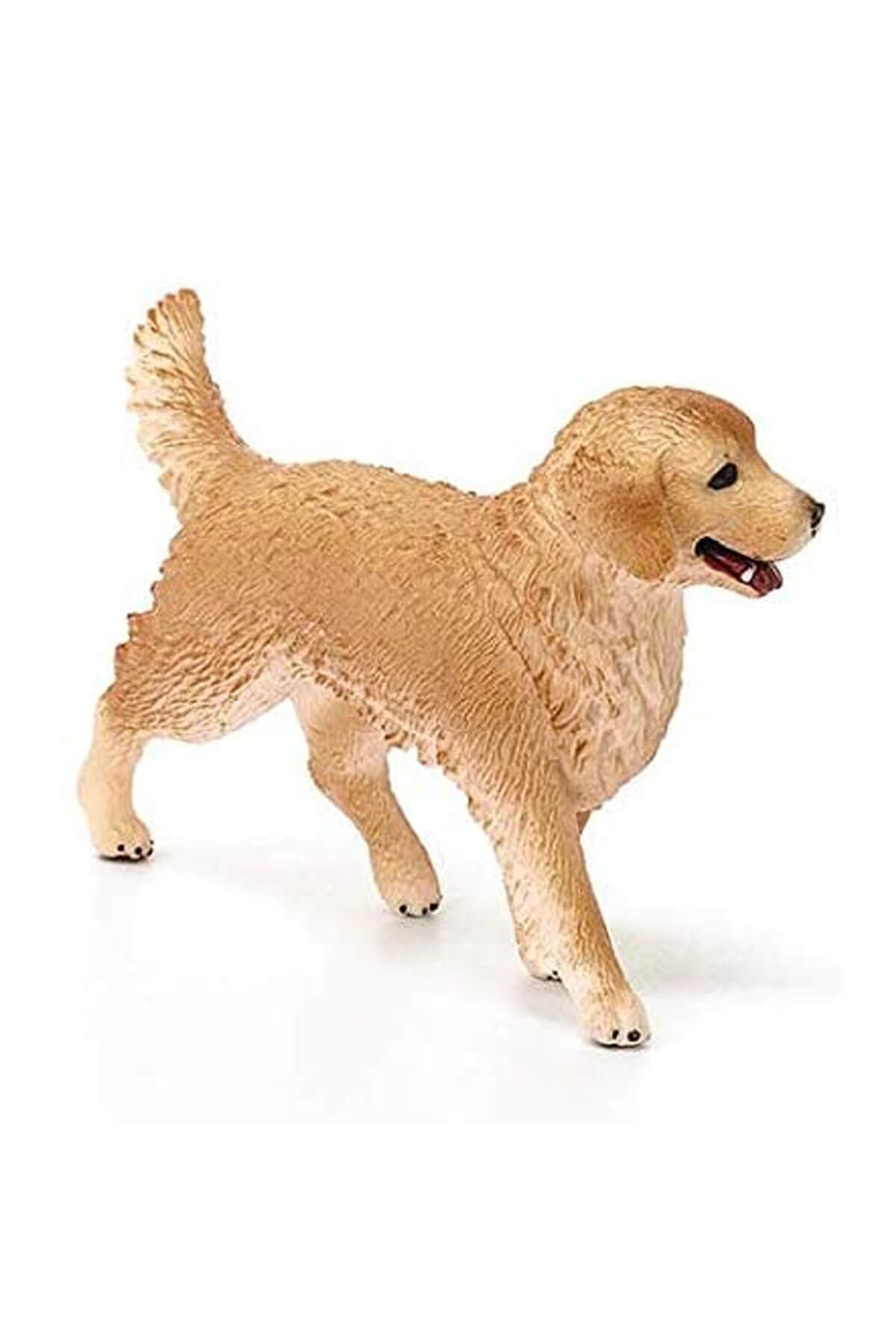 Schleich Dişi Golden Retriever Figür