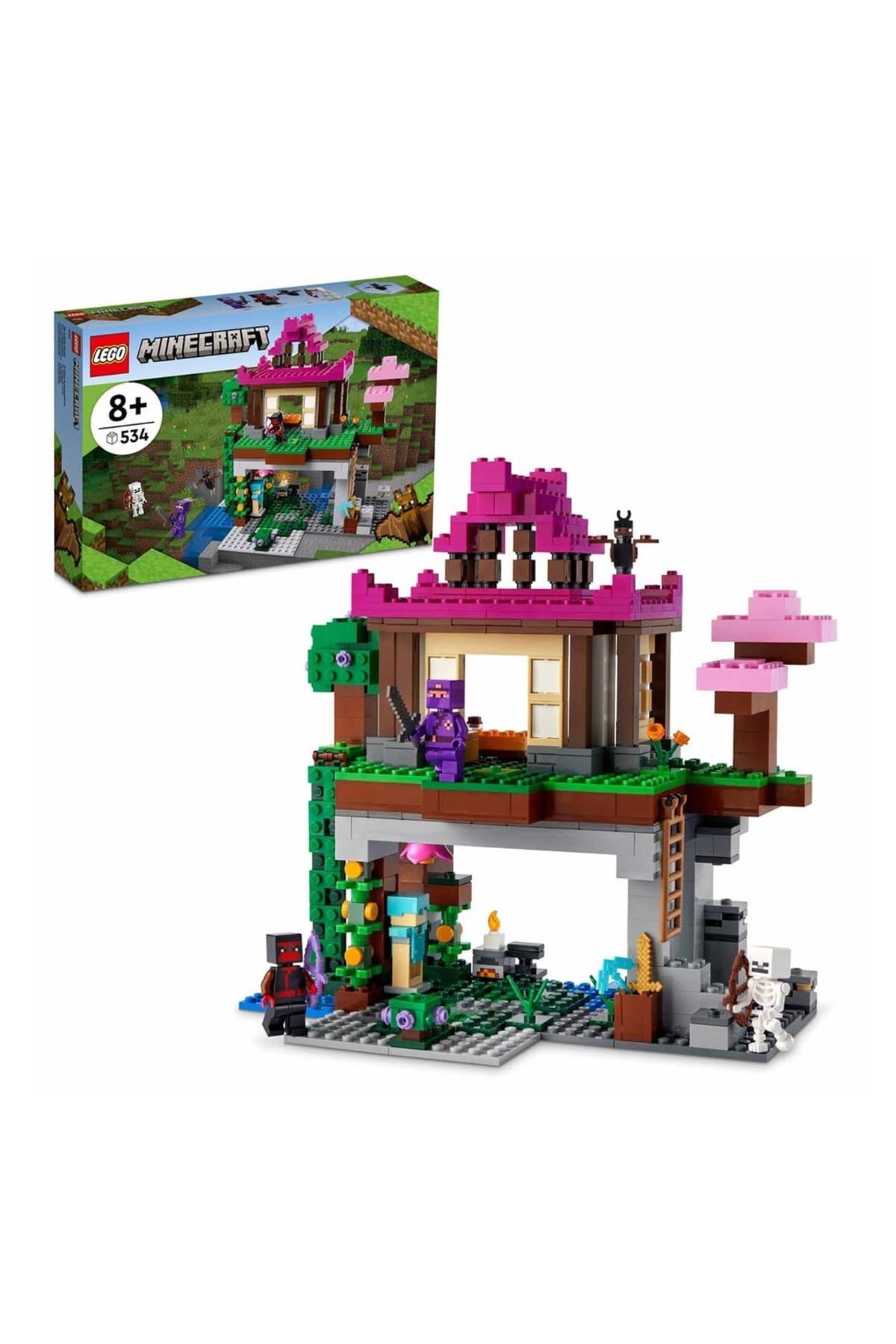 Lego Minecraft Eğitim Alanı 21183