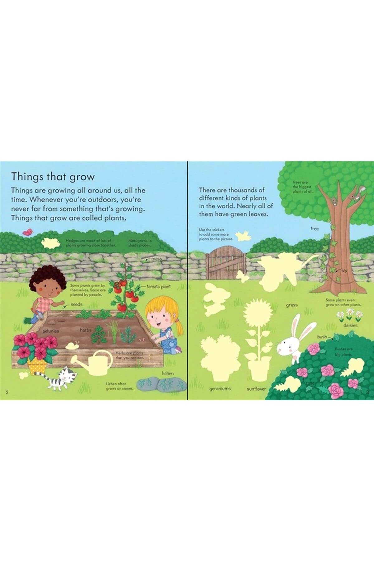 The Usborne My First Book About How Things Grow Sticker Book