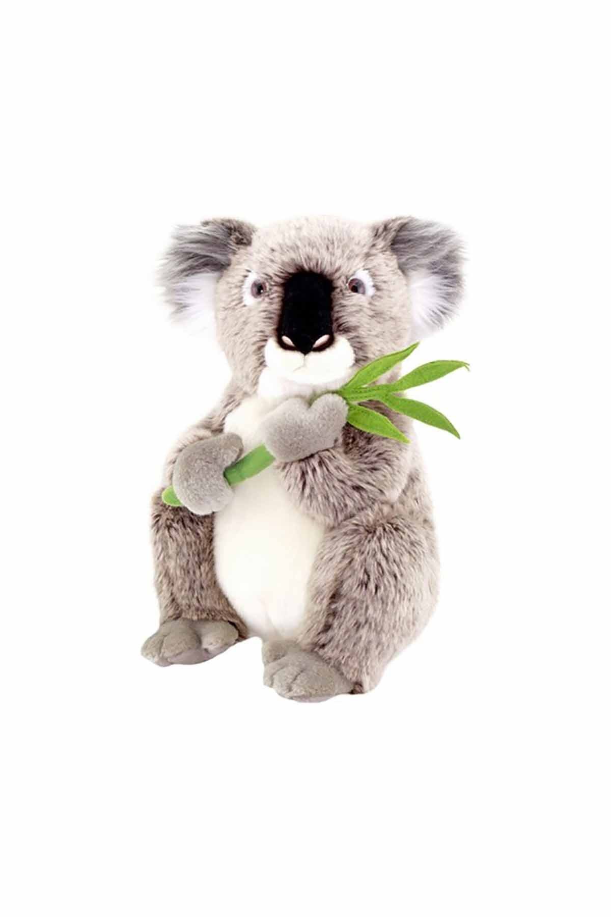 Animals Of The World Koala Peluş Oyuncak 30 cm