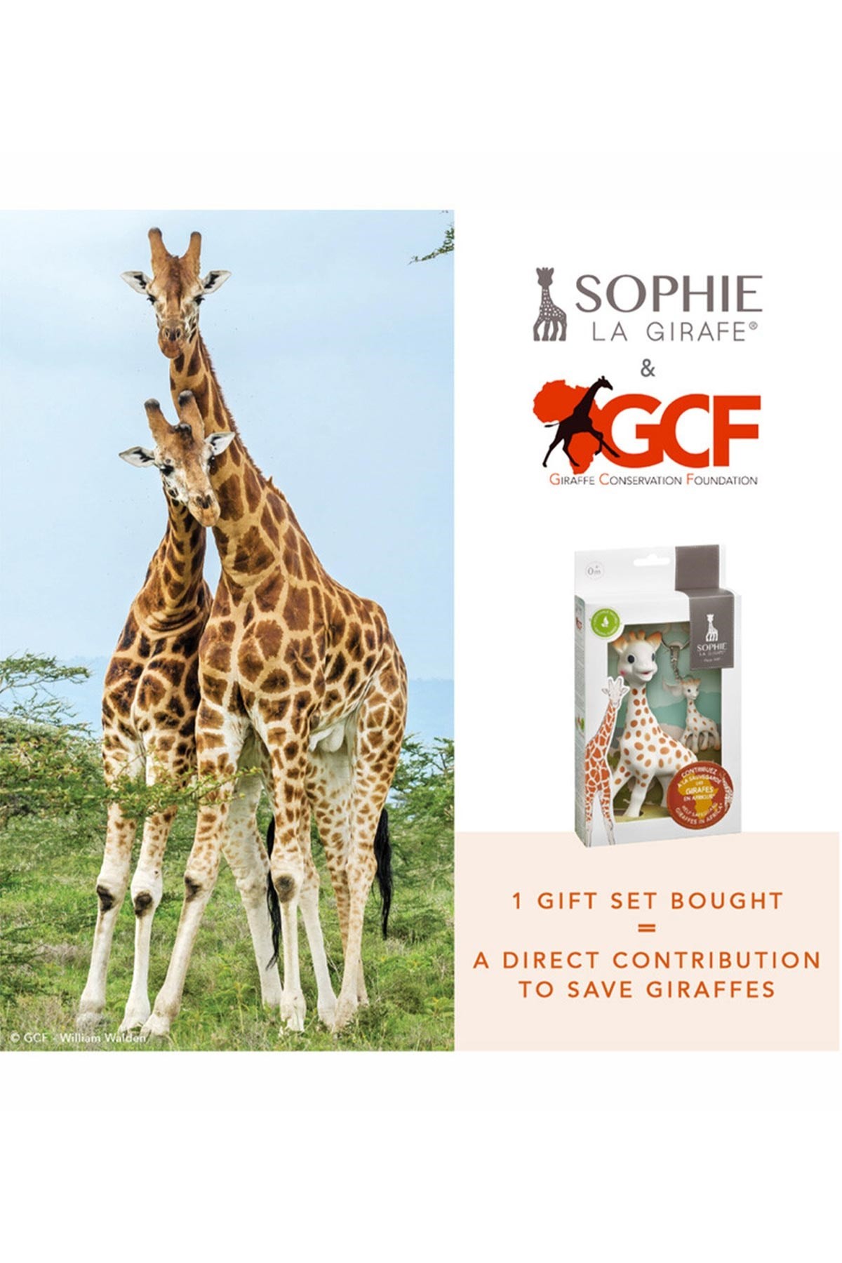 Sophie la Girafe Sophie la girafe & GCF Hediye Seti