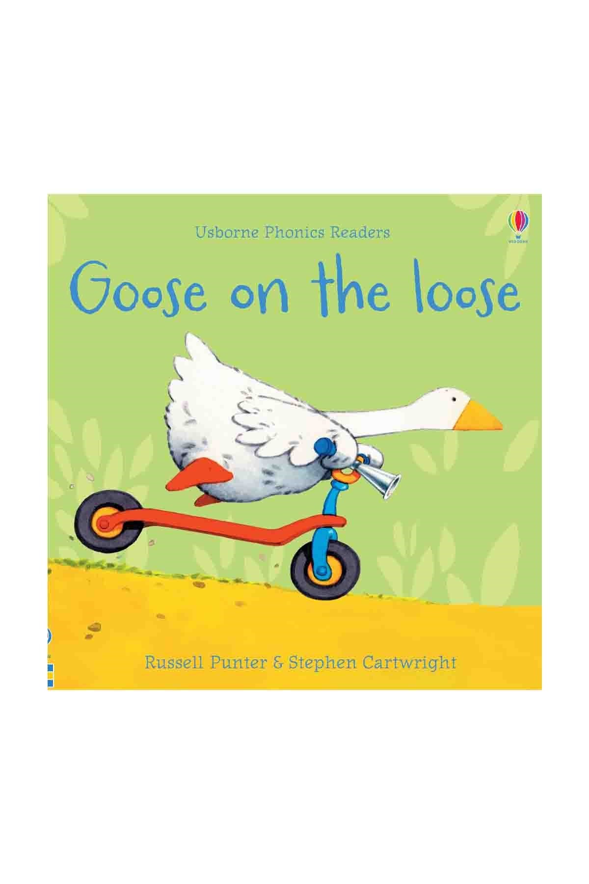 The Usborne Goose On The Loose
