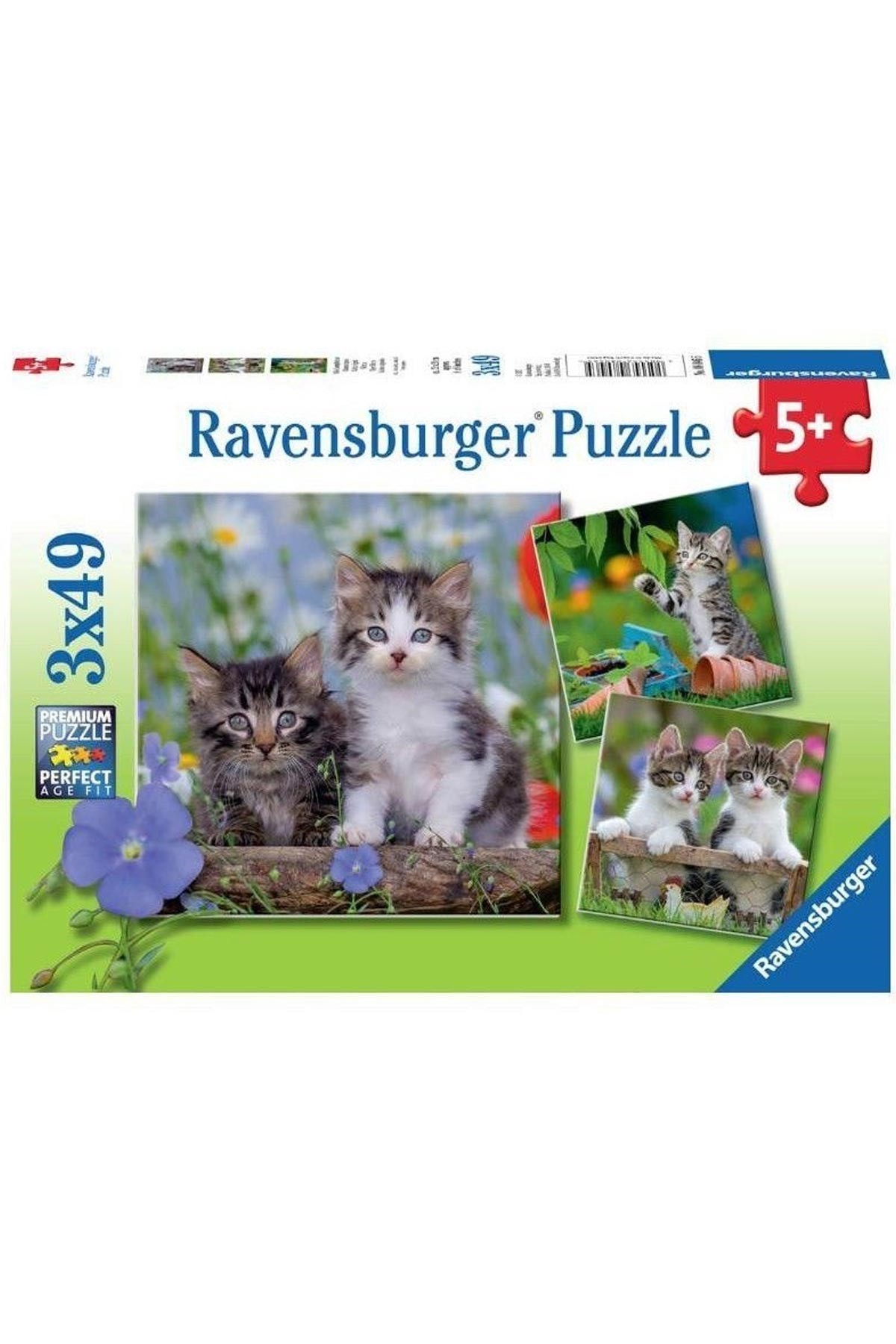 Ravensburger 3x49 Parçalı Puzzle Tiger Babies