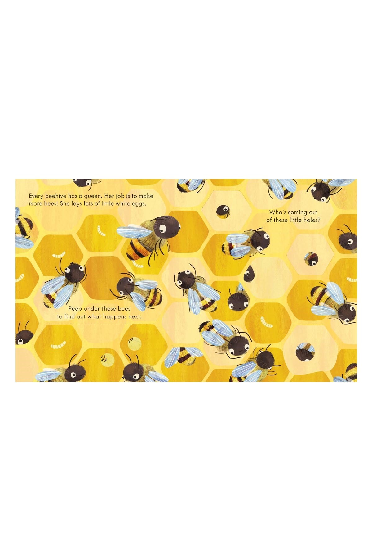 The Usborne Peep Inside a Beehive