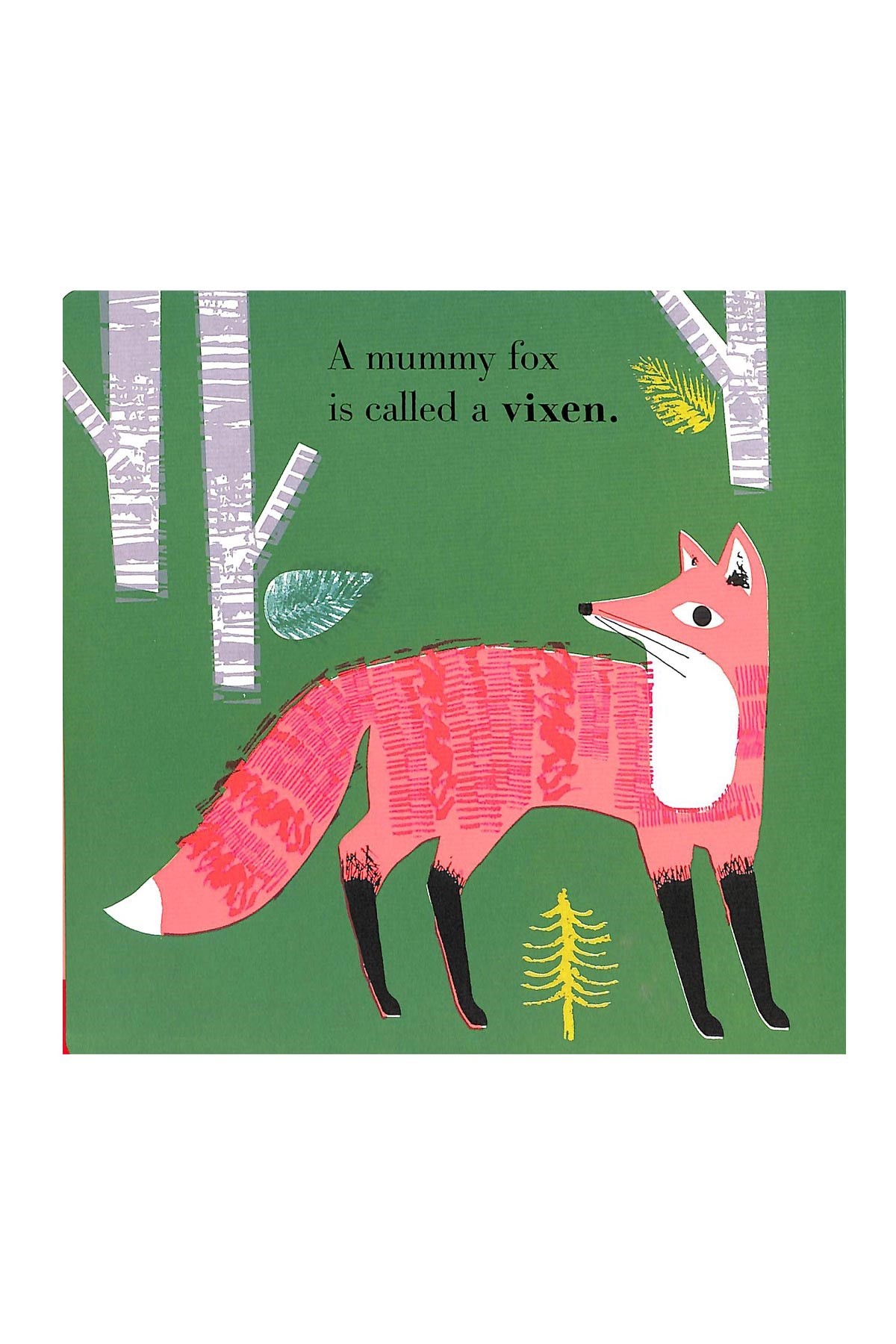 Nosy Crow Animal Families: Forest