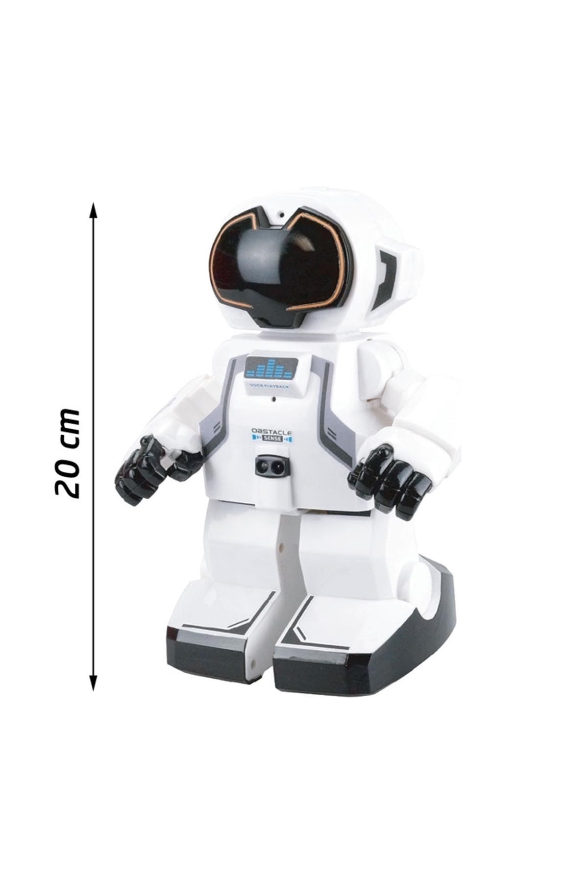 Silverlit Robot Echo Bot IR 88308