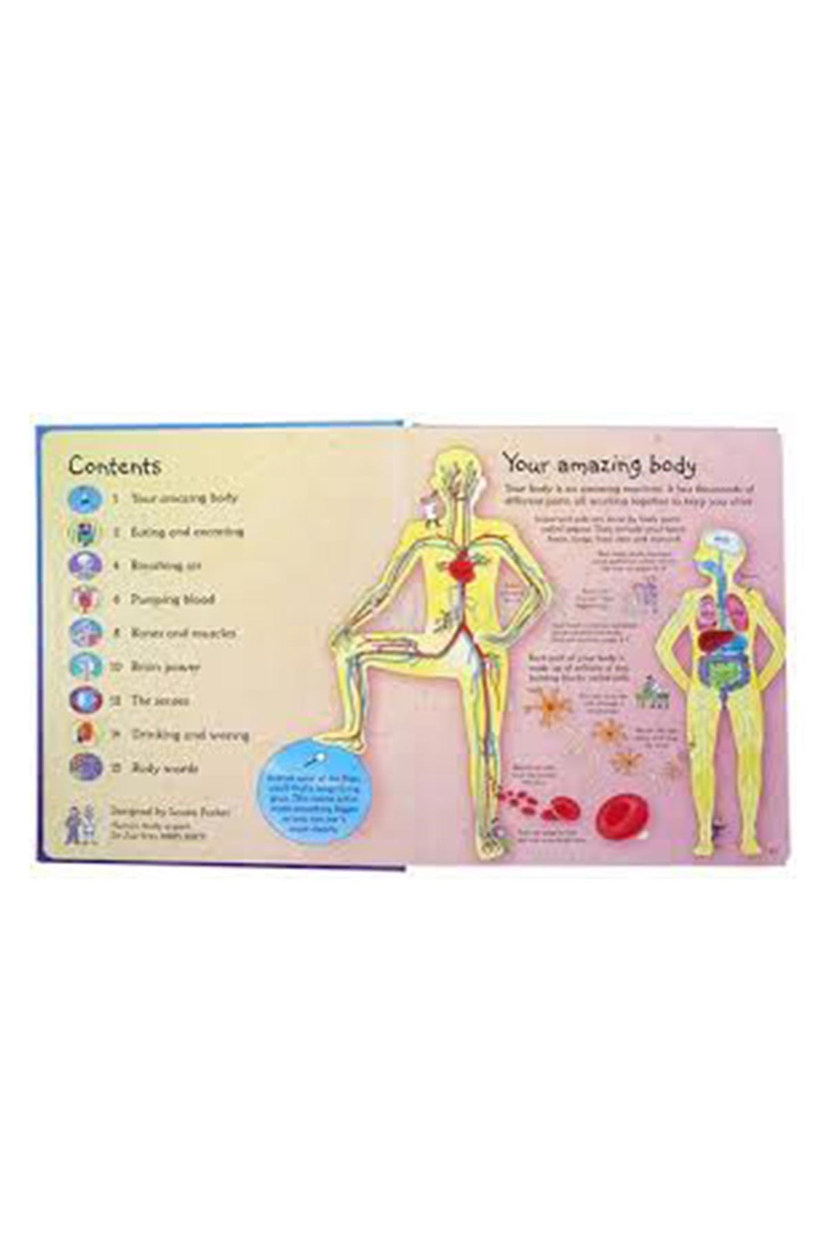 The Usborne See Inside Your Body