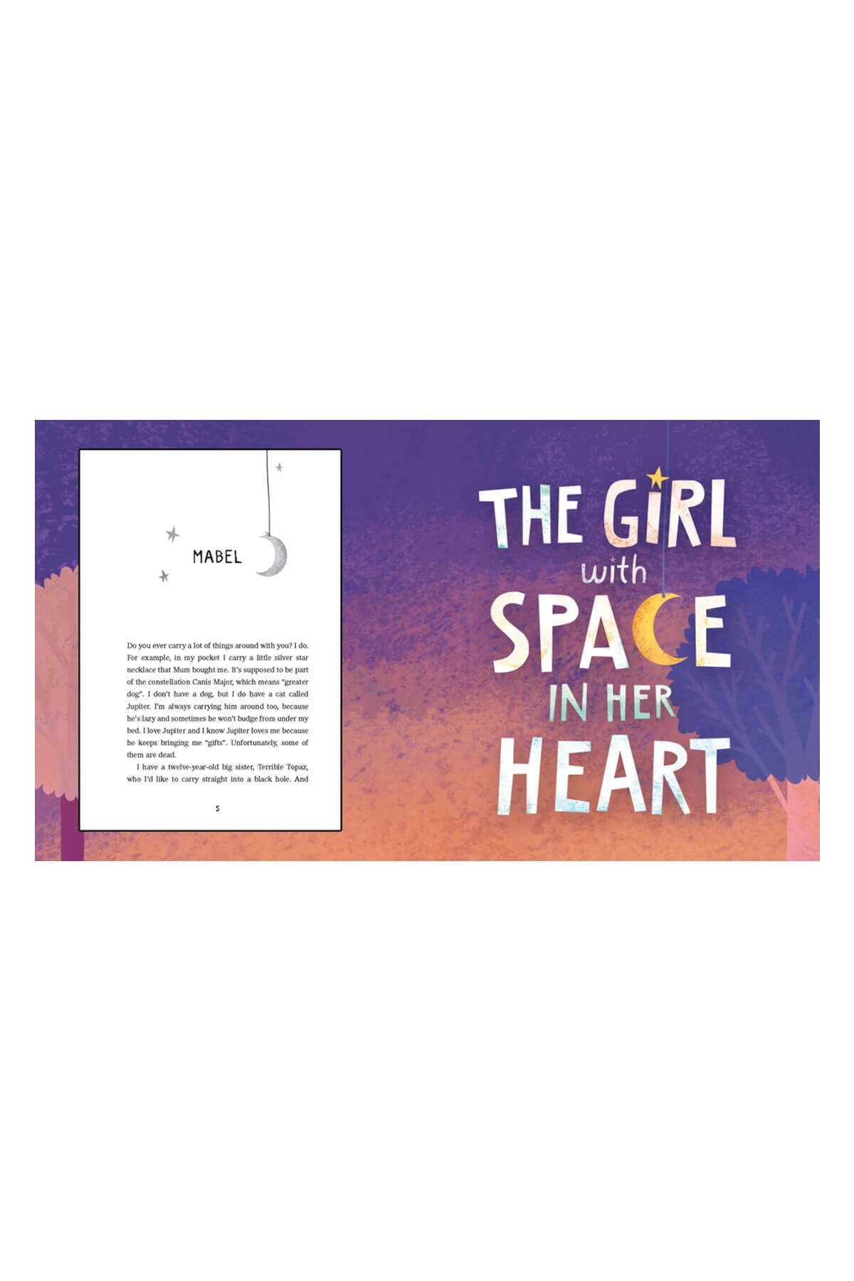 The Usborne The Girl With Space In Her Heart