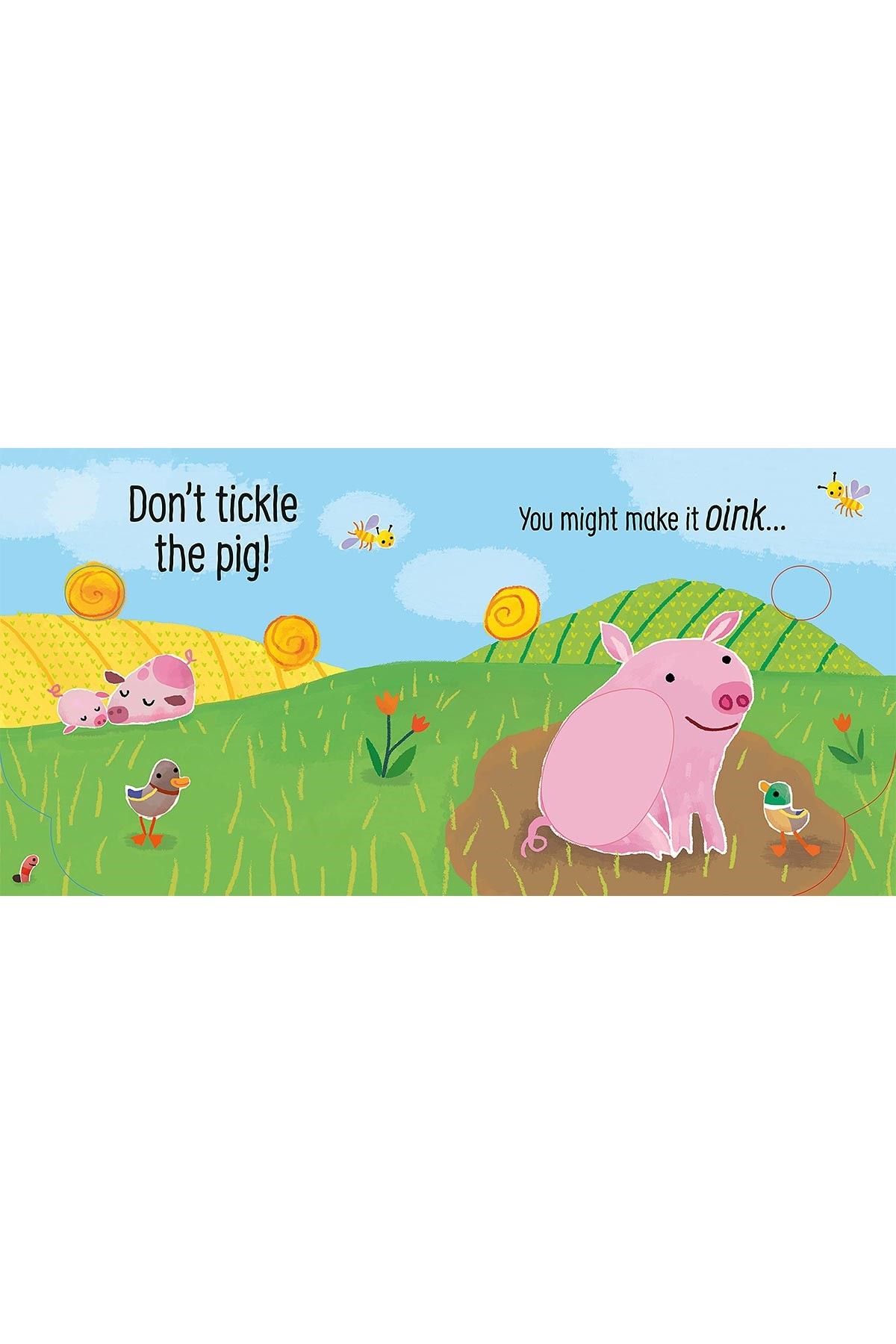 The Usborne Don't tickle the Pig!