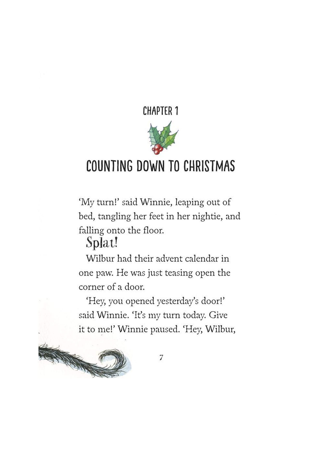Oxford Childrens Book - Winnie And Wilbur: The Santa Surprise
