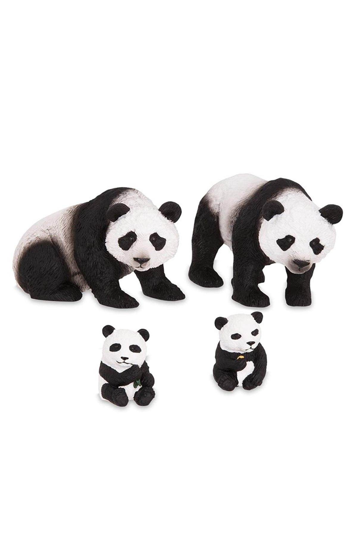 Terra Panda Ailesi