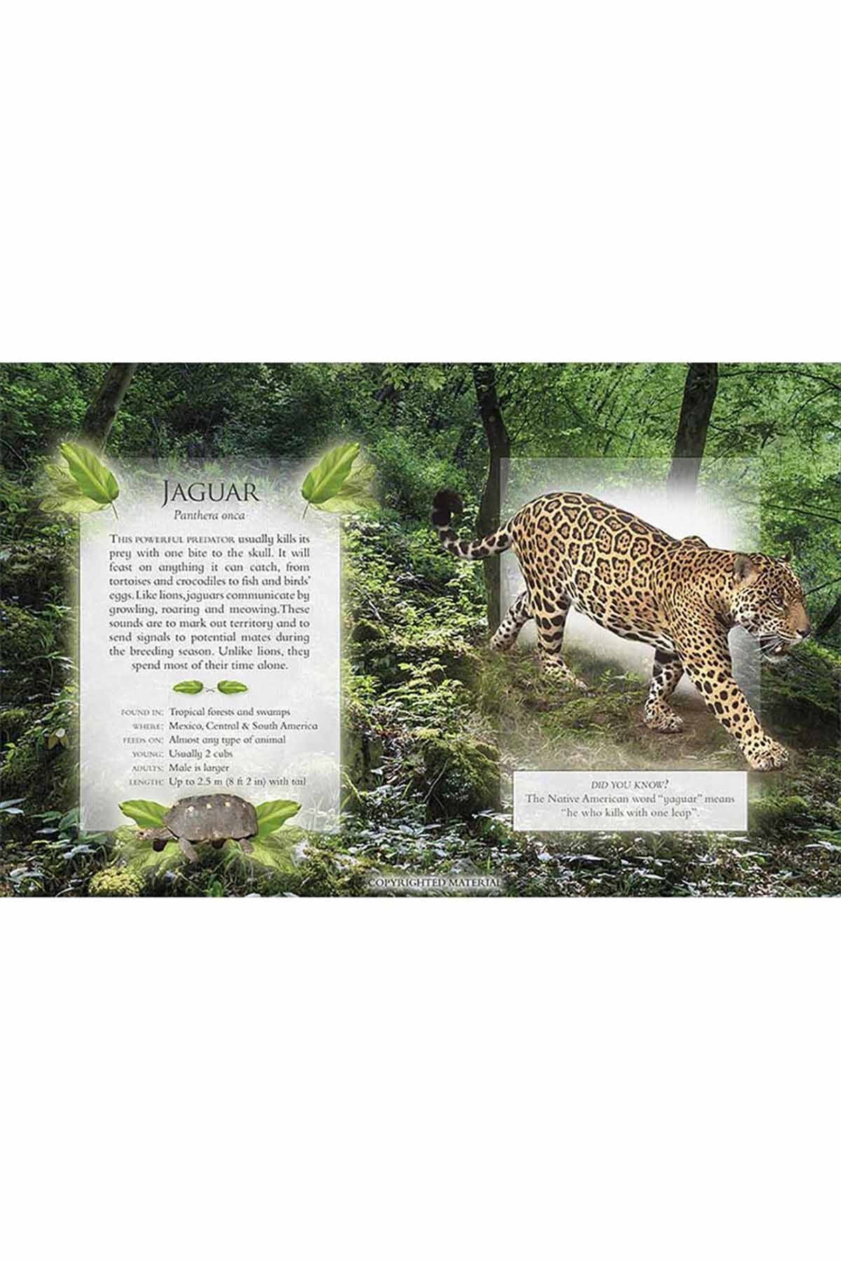 Copyrighted Material Little Book of Rainforest Animal Sounds