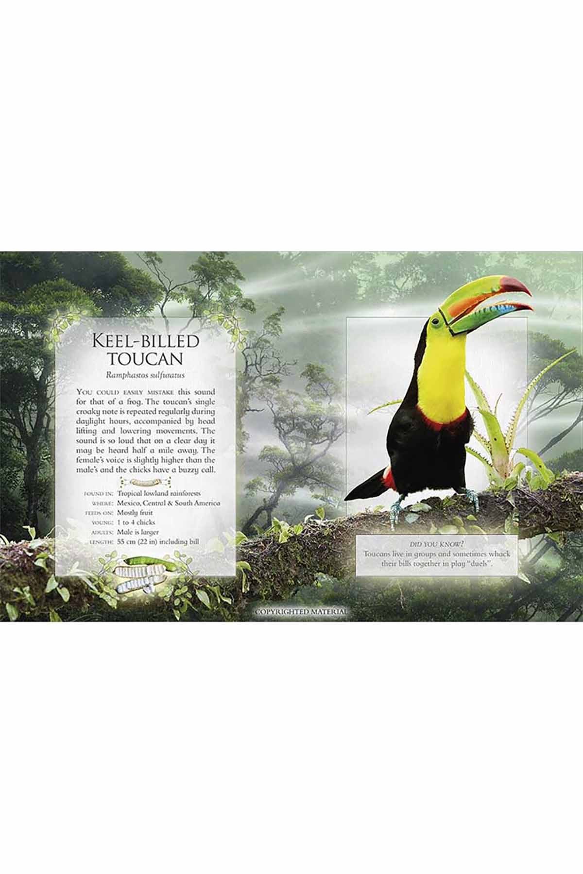Copyrighted Material Little Book of Rainforest Animal Sounds