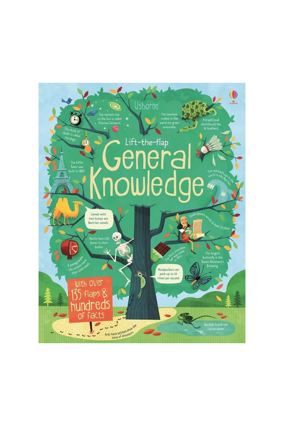 The Usborne Lift The Flap General Knowledge