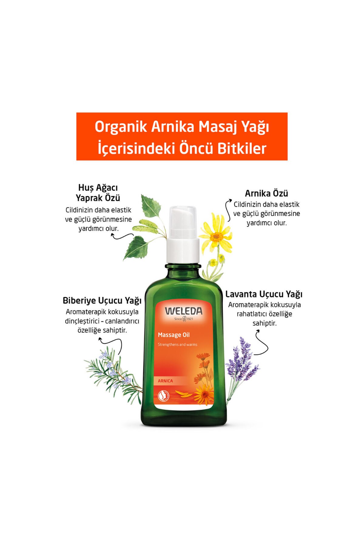 Weleda Arnica Masaj Yağı Anne Çatlak Yağı 100 ml