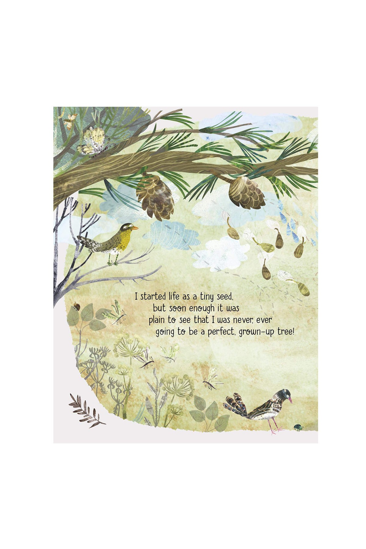 Oxford Childrens Book - The Tree ThatS Meant To Be