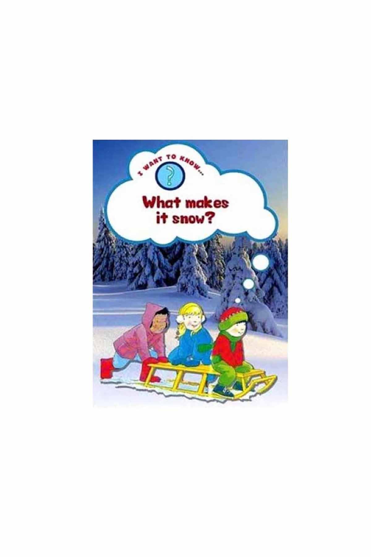 The Usborne I Want To Know : What makes it snow?