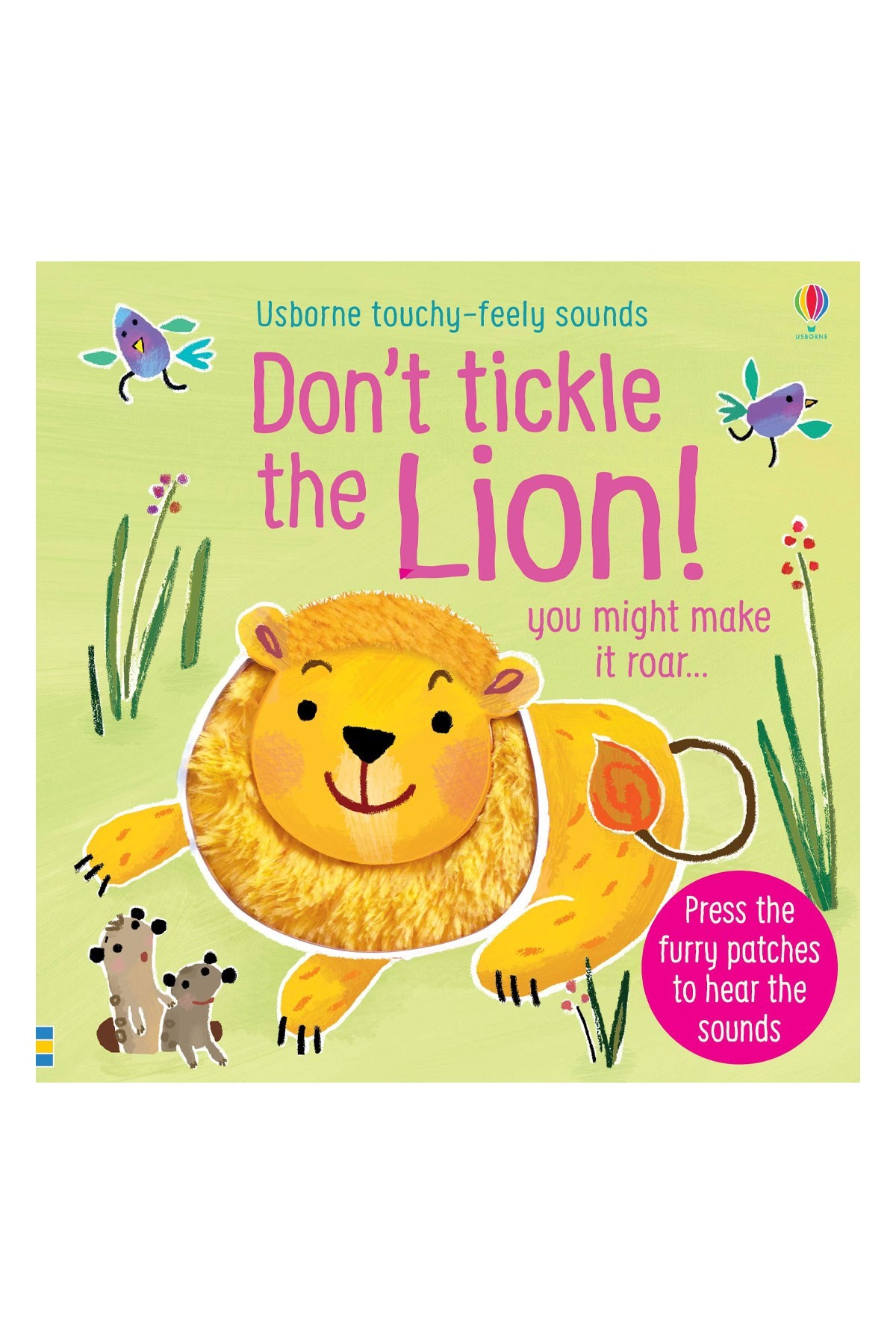 Usborne Don't Tickle the Lion!