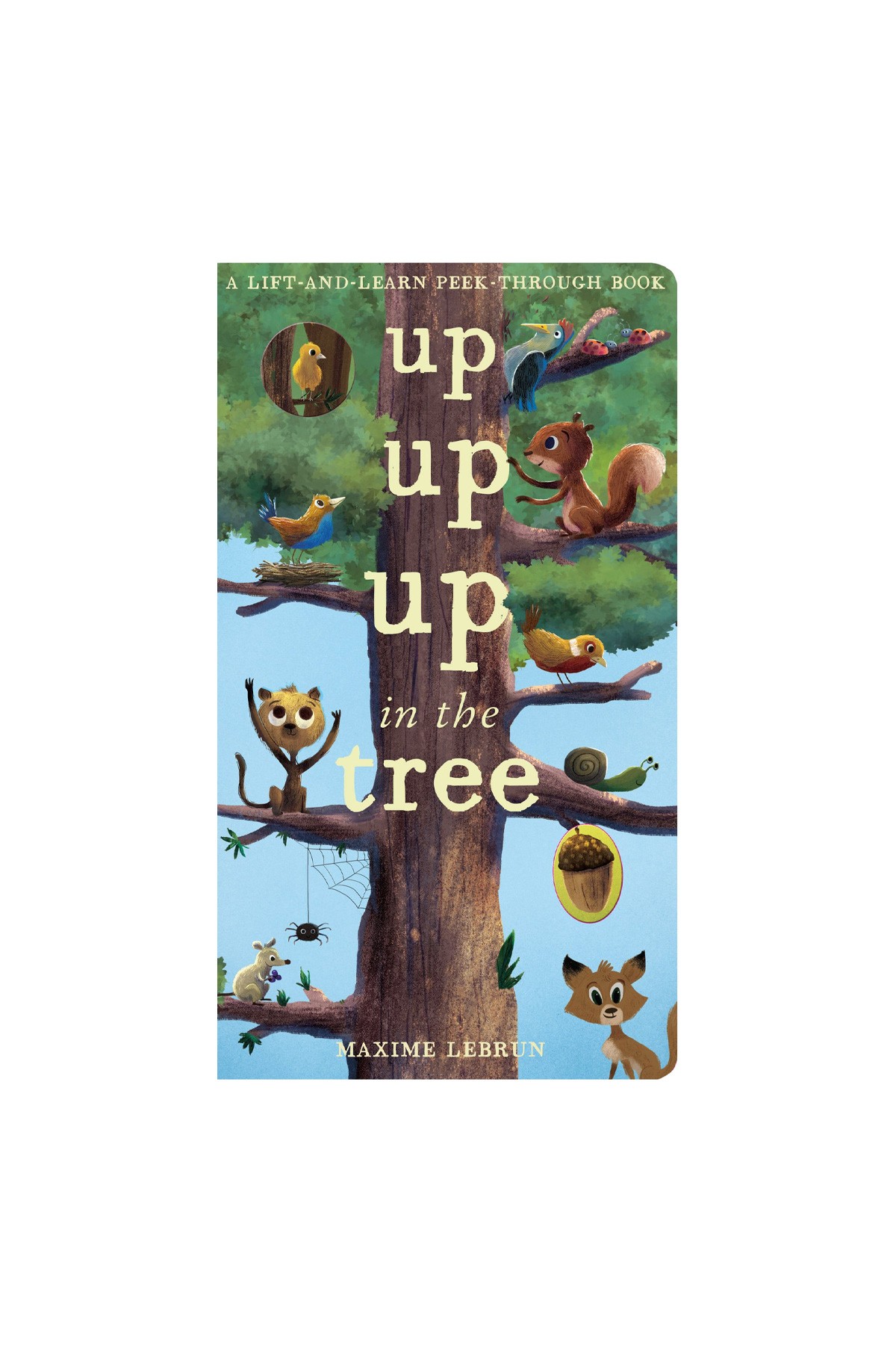 LT - Up Up Up In The Tree