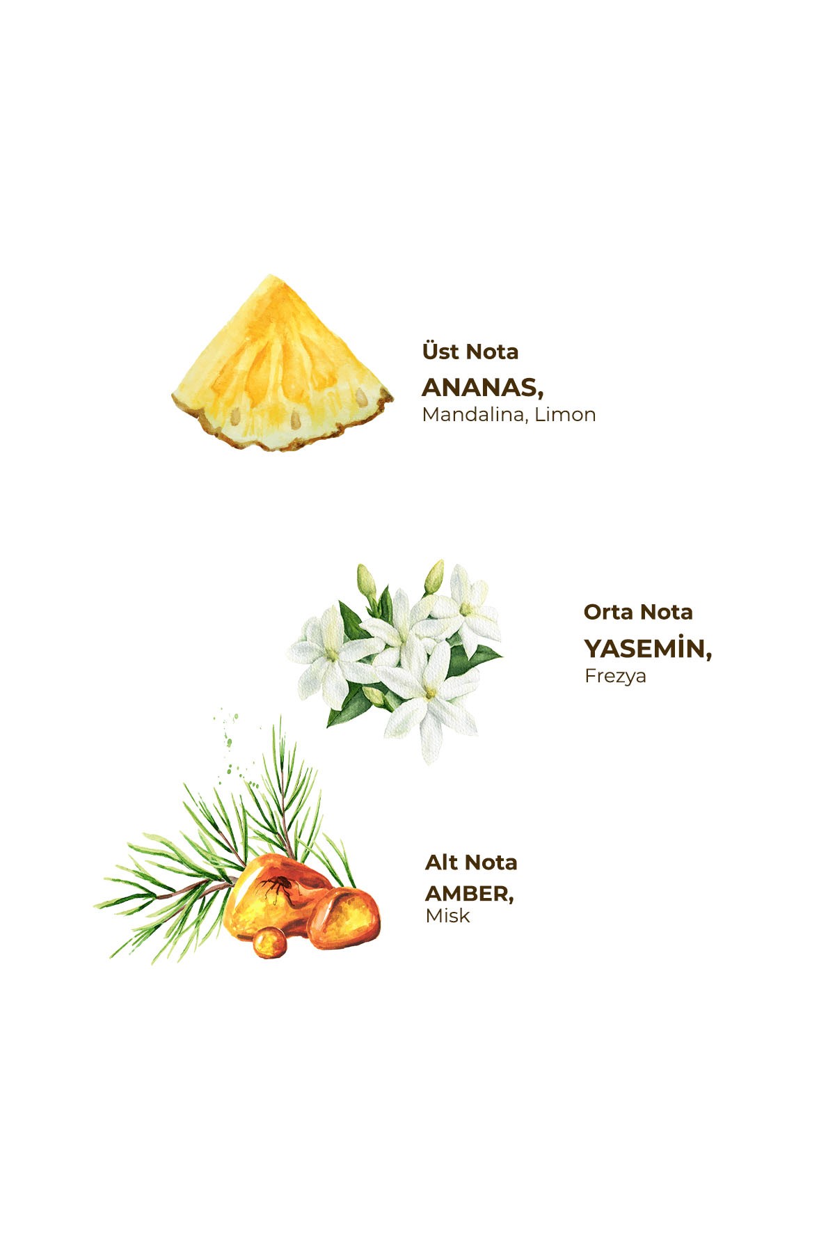 Eyüp Sabri Tuncer Hawaii Ananas Kolonyası 400 ml Silindir Pet Şişe