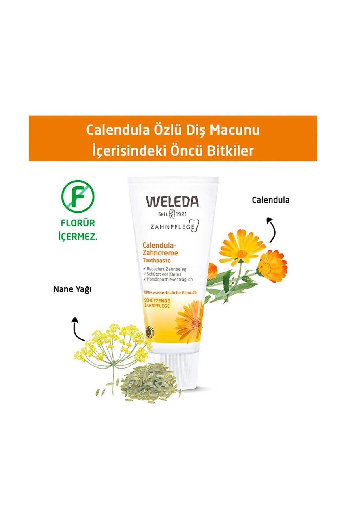 Weleda Deniz Tuzu Mineralli Organik Diş Macunu 75 ML