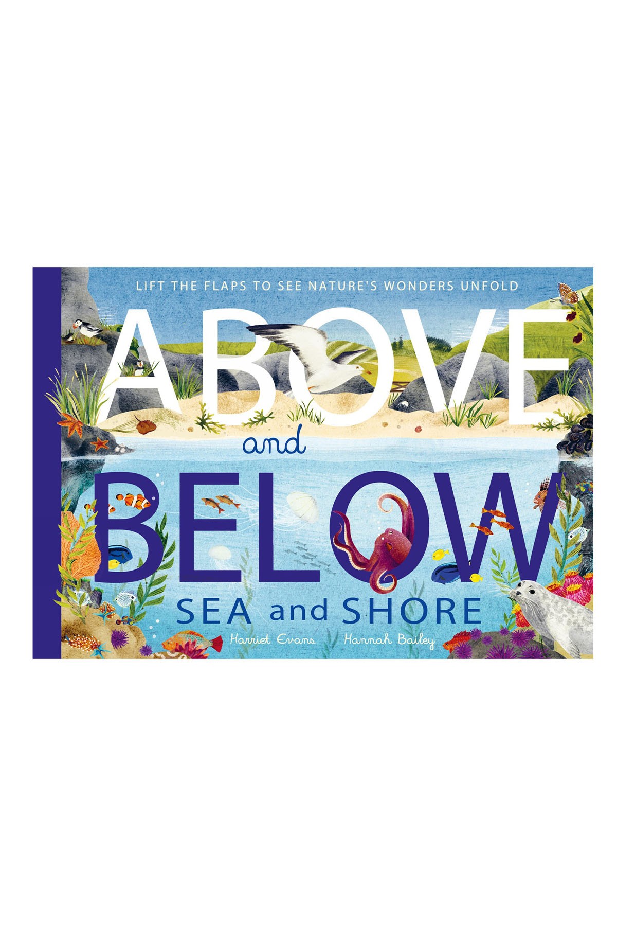 LT - Above And Below: Sea And Shore : Lift The Flaps To See NatureS Wonders Unfold