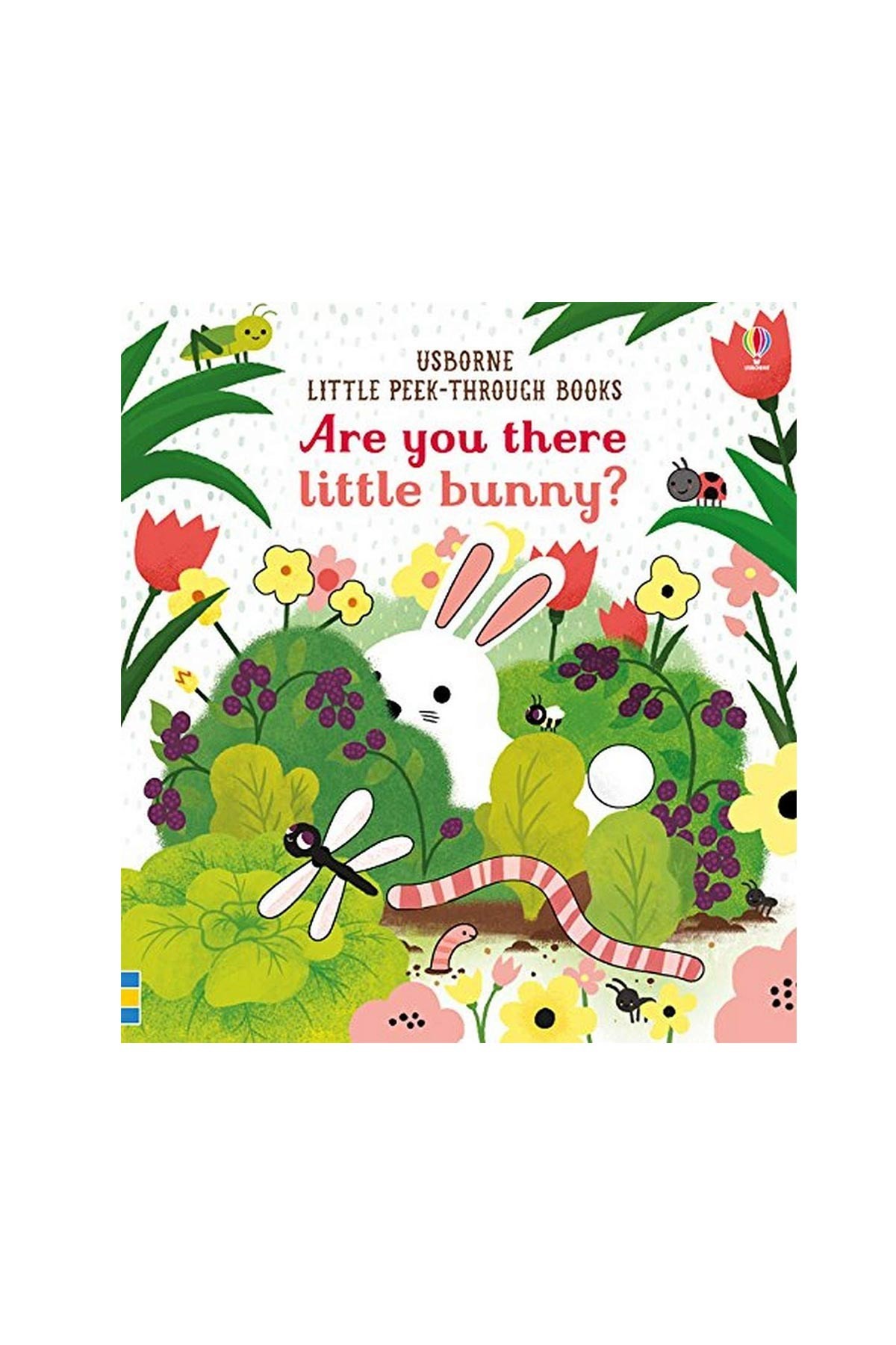 The Usborne Are You There Little Bunny?