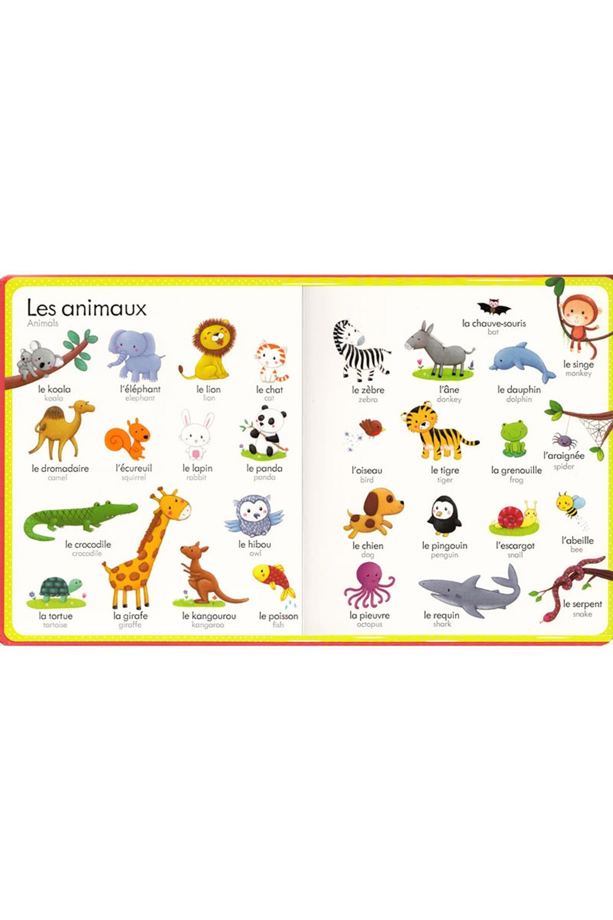 The Usborne My First French Word Book
