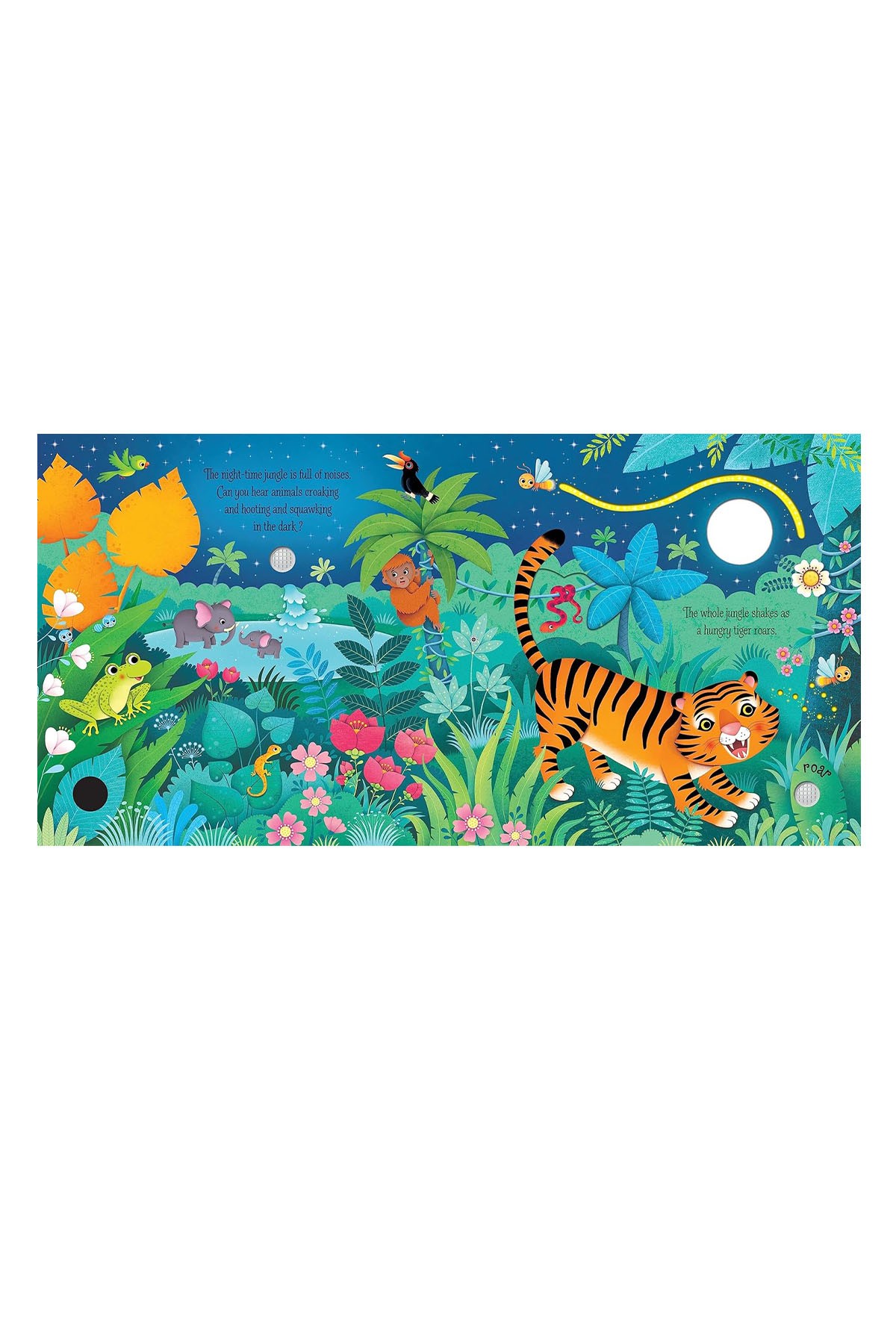 The Usborne USB - Jungle Sounds