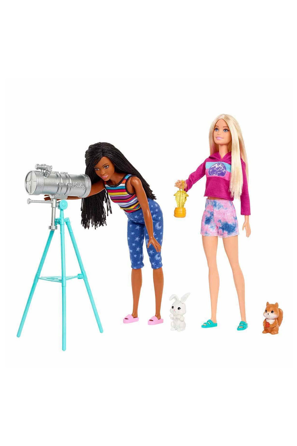 Barbie Malibu ve Brooklyn Kampta Oyun Seti