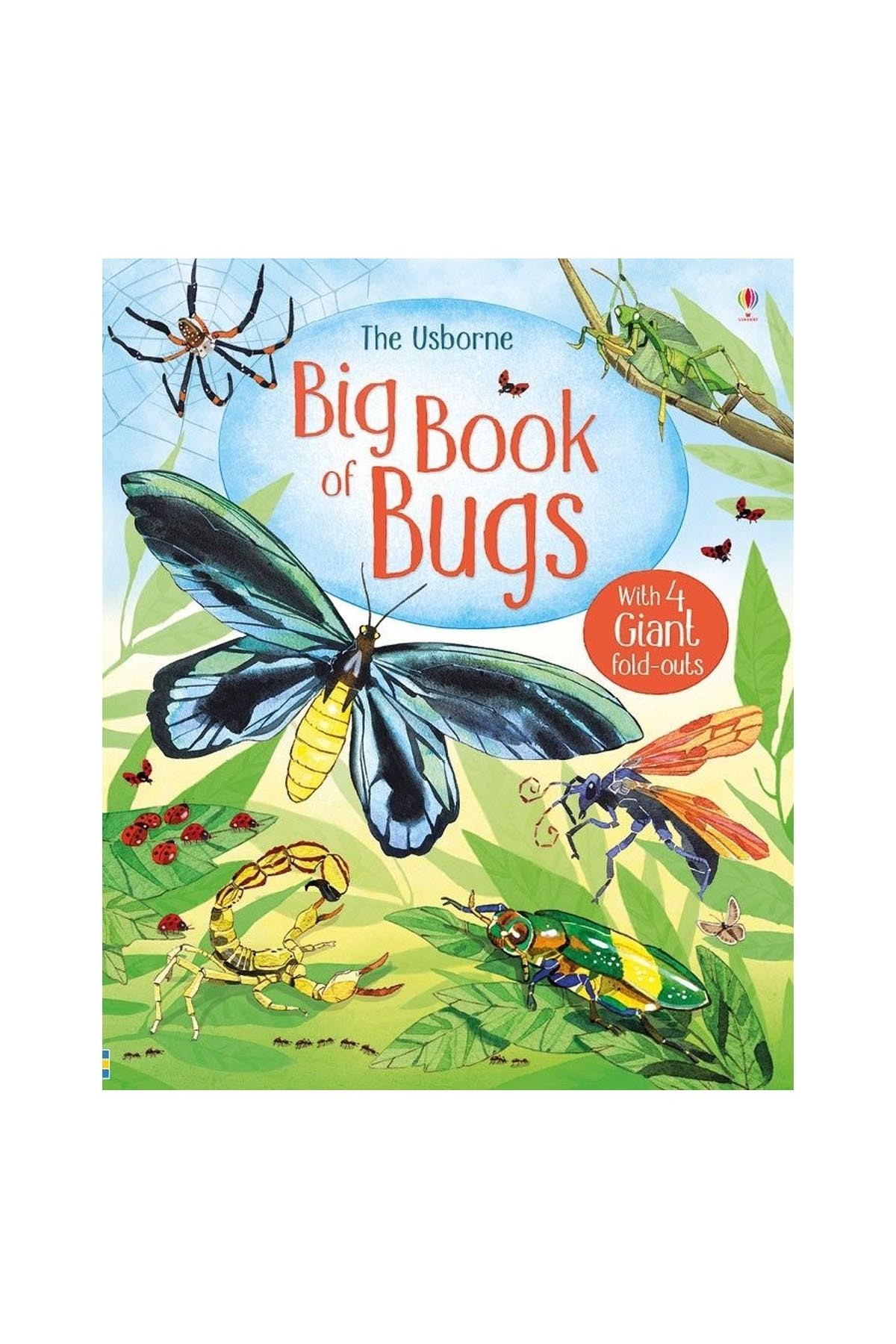 The Usborne Big Book Of Bugs