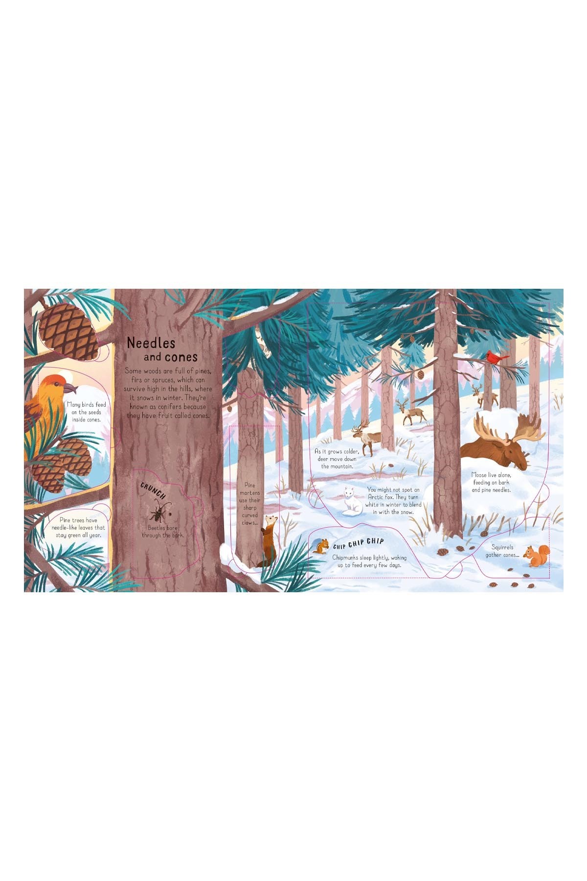 The Usborne Look Inside The Woods