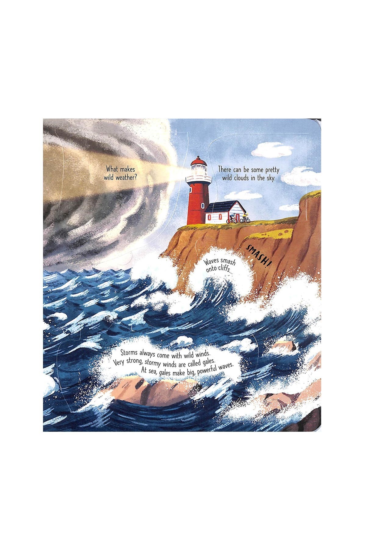 The Usborne Look Inside Wild Weather