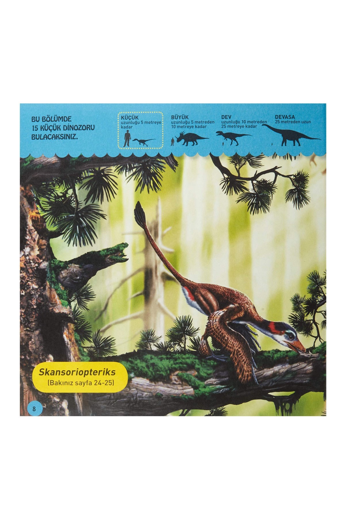 National Geographic Kids Dinozor Kitabım Dinozorlar