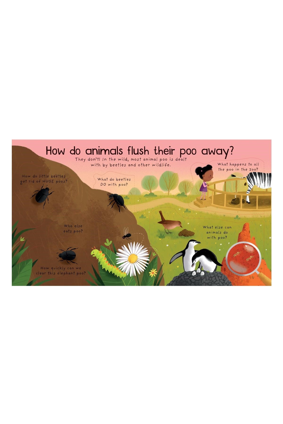 The Usborne Ltf First Q&A Where Does Poo Go?