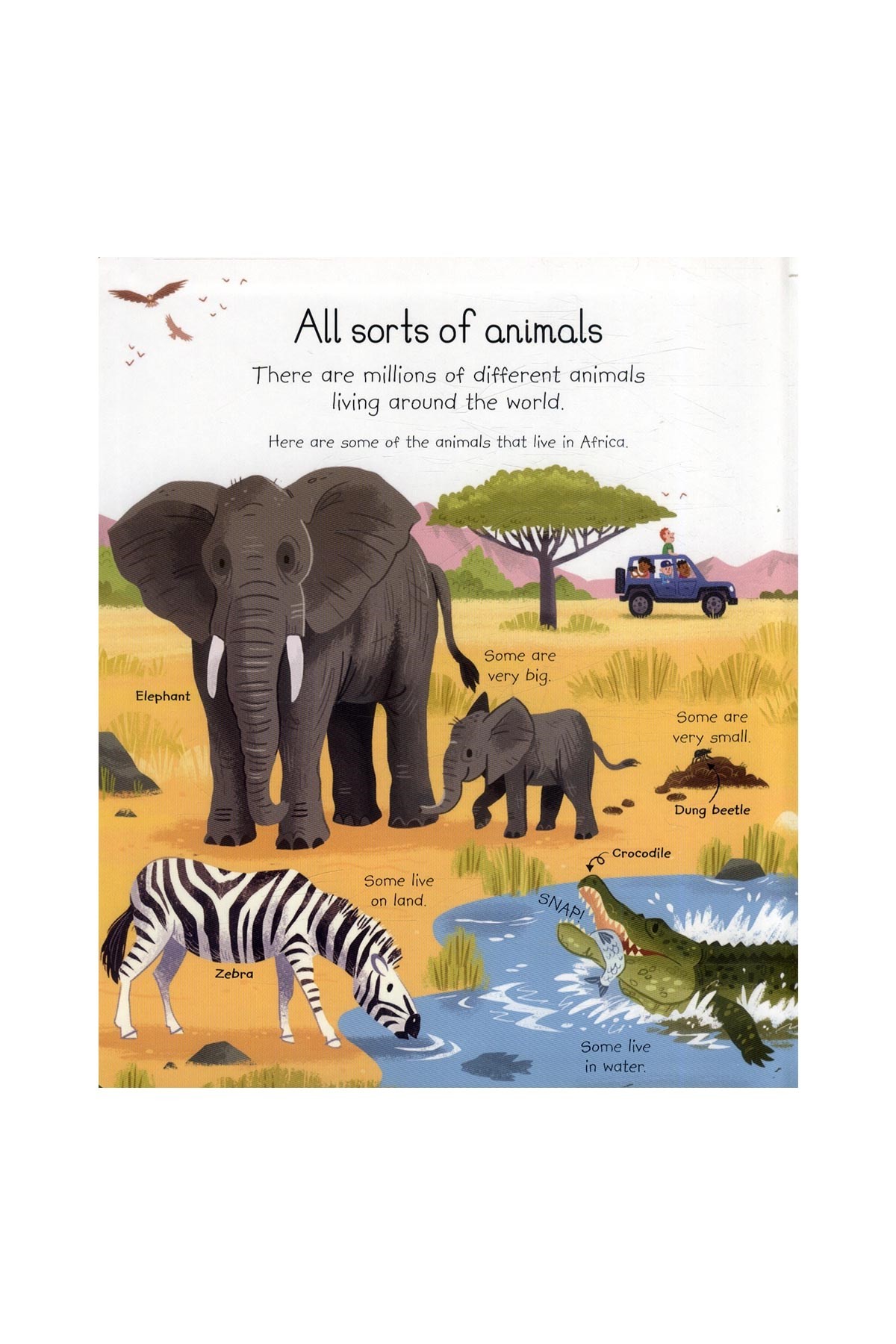 The Usborne My Very First Animals Book