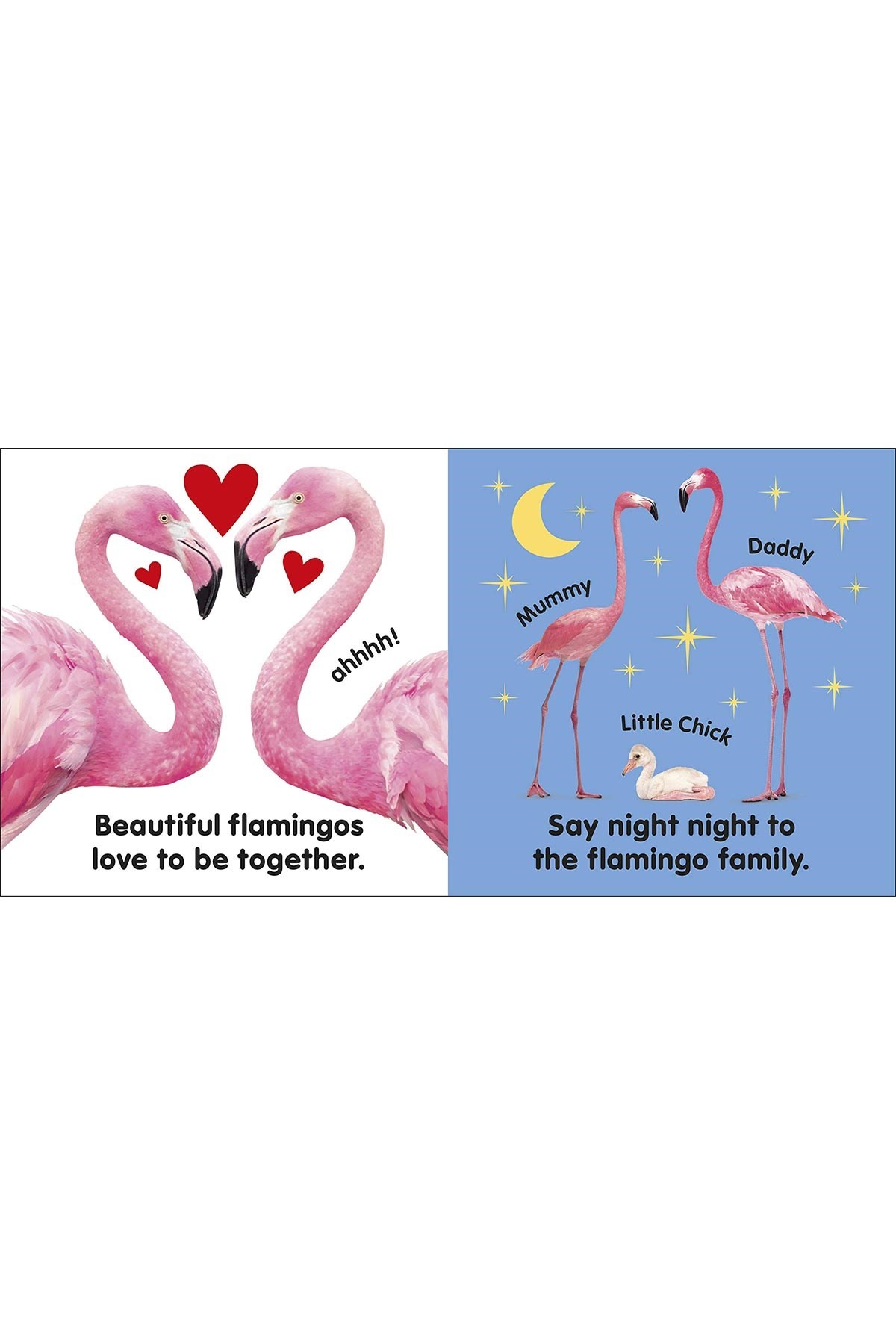 DK Yayıncılık Baby Touch And Feel Flamingo