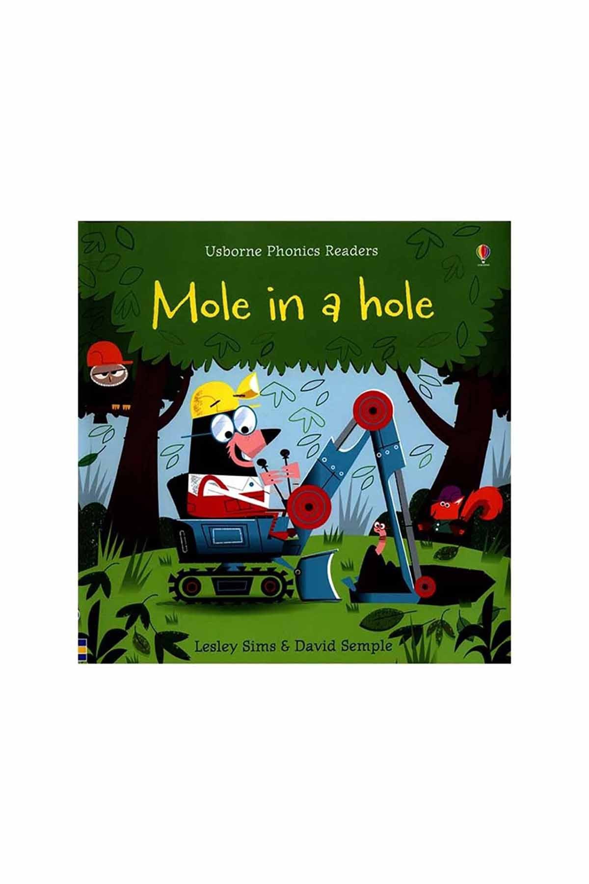 The Usborne Mole In A Hole