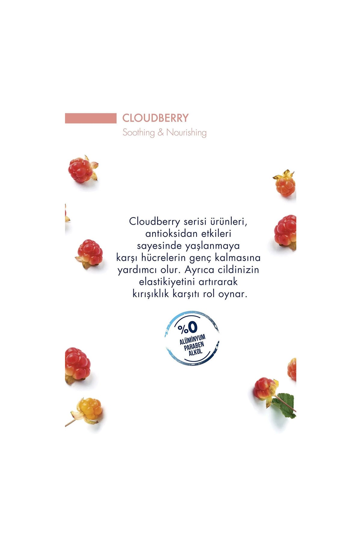 Celenes Cloudberry Vücut Losyonu Kuru/Hassas Ciler Parfümsüz